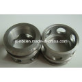 Fornecimento Customized Nonstantard Precision Part